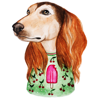 Saluki In Outfit Sticker