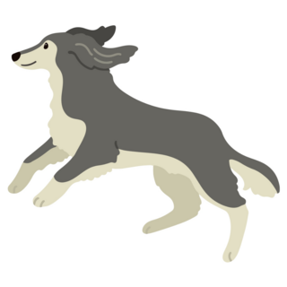 Saluki Jumping Sticker