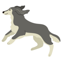 Saluki Jumping Sticker