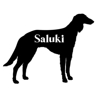 Saluki Lettering Sticker