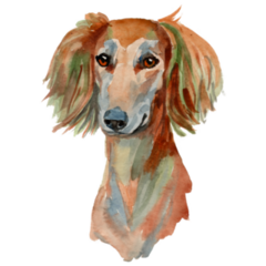 Saluki Painted Sticker
