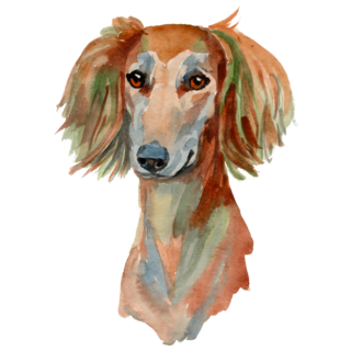 Saluki Painted Sticker