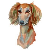 Saluki Painted Sticker