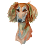 Saluki Painted Sticker