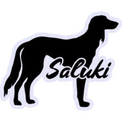 Saluki Silhouette Sticker