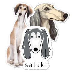 Saluki Thumbnail