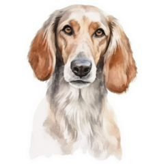 Saluki Watercolor Sticker