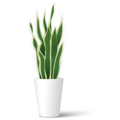 Sansevieria In Pot Sticker