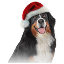 Santa Bernese Mountain Sticker