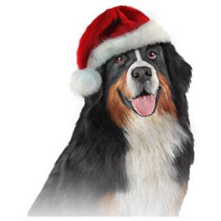 Santa Bernese Mountain Sticker