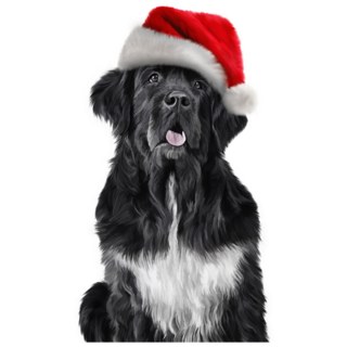 Santa Newfoundland Sticker