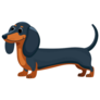 Sausage Dog Sticker