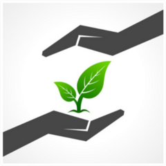 Save Nature Two Hands Nurturing Plant Sticker