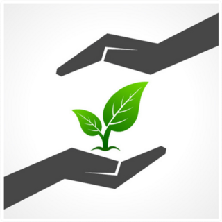 Save Nature Two Hands Nurturing Plant Sticker