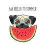 Say Hello To Summer Pug Watermelon Sticker