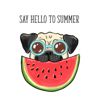Say Hello To Summer Pug Watermelon Sticker