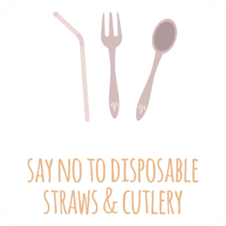 Say No To Disposable Straws and Cutlery Sticker