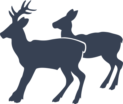 Scared Deer And Buck Sticker