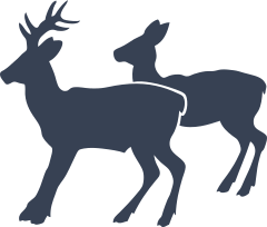 Scared Deer And Buck Sticker