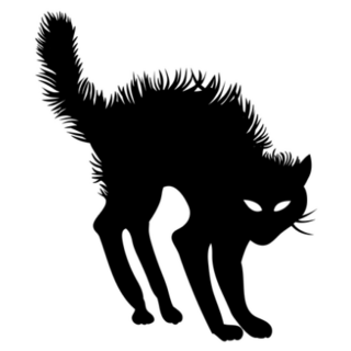 Scary Halloween Black Cat Sticker