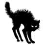 Scary Halloween Black Cat Sticker