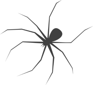 Scary Long Leg Spider Sticker