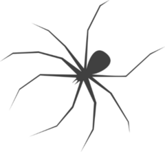 Scary Long Leg Spider Sticker