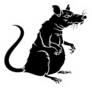 Scary Rat Silhouette Isolated On White Sticker