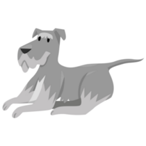 Schnauzer Breed Dog Sticker