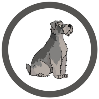 Schnauzer Circle Sticker