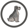 Schnauzer Circle Sticker