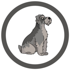 Schnauzer Circle Sticker