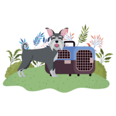 Schnauzer Crate Sticker