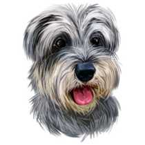 Schnauzer Face Sticker