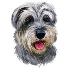 Schnauzer Face Sticker