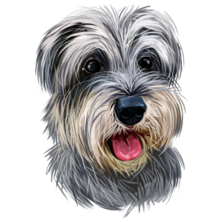 Schnauzer Face Sticker