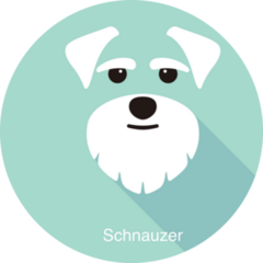 Schnauzer Flat Icon Sticker