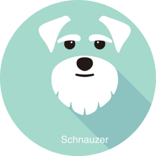 Schnauzer Flat Icon Sticker