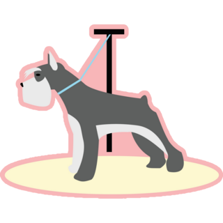 Schnauzer Grooming Sticker