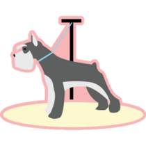 Schnauzer Grooming Sticker