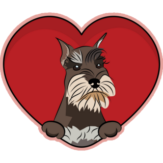 Schnauzer Heart Sticker
