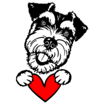 Schnauzer Holds Heart Sticker