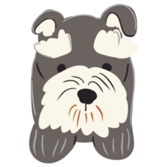 Schnauzer Illustration Sticker