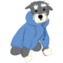 Schnauzer In Hoodie Sticker