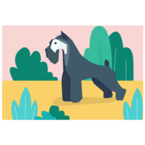 Schnauzer In Park Sticker