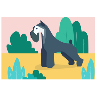 Schnauzer In Park Sticker