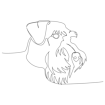 Schnauzer Line Art Sticker