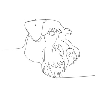 Schnauzer Line Art Sticker