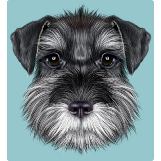 Schnauzer On Blue Sticker