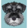 Schnauzer On Blue Sticker